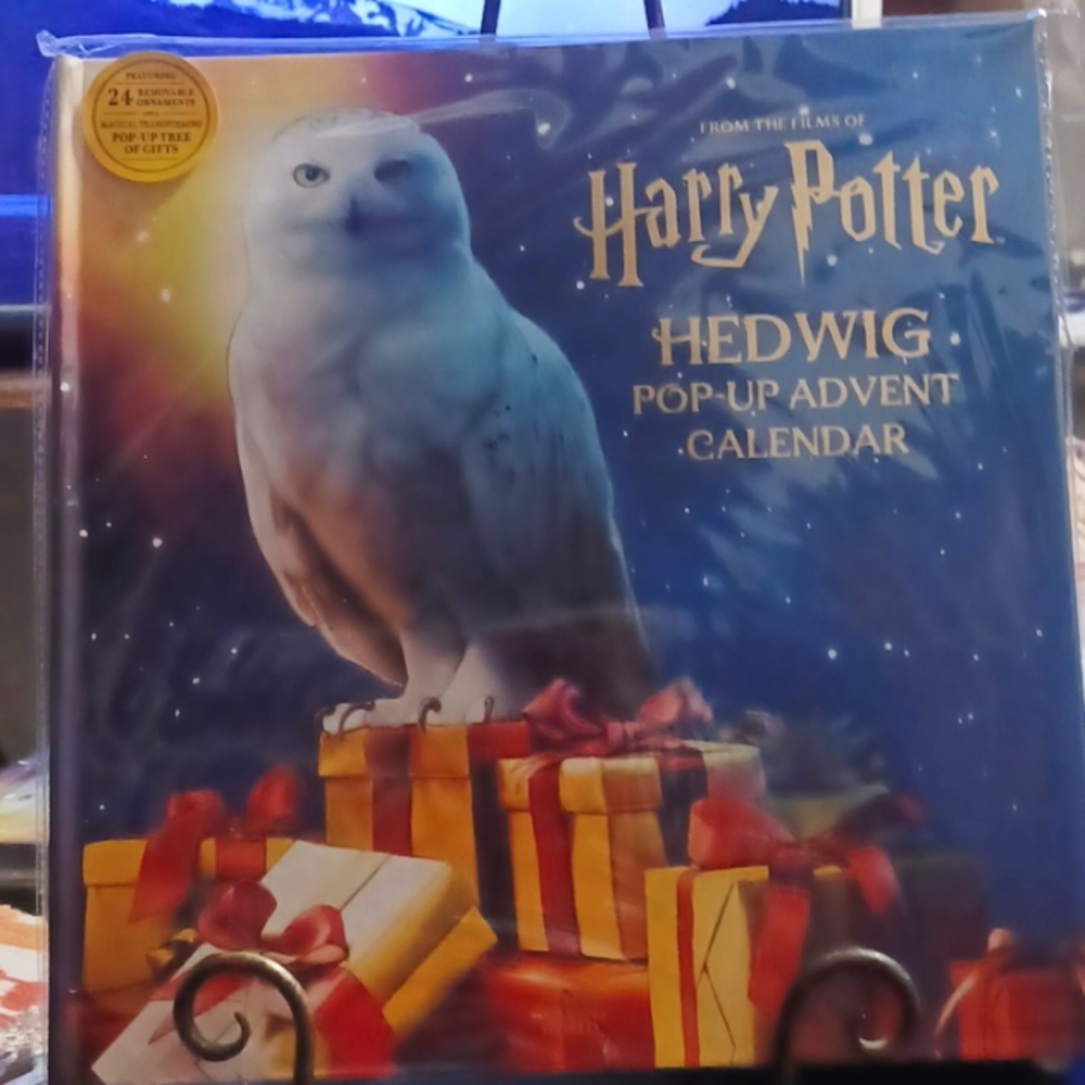 Harry Potter: Hedwig Pop-up Advent Calendar 2022/Any Year